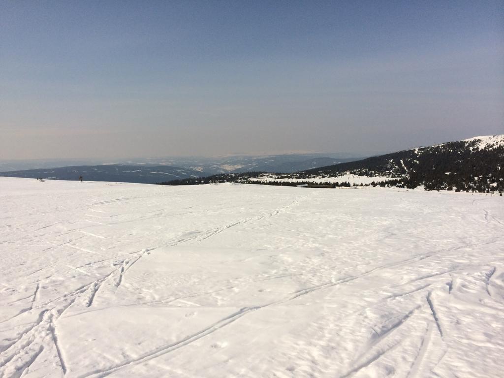Pellestova * Hafjell