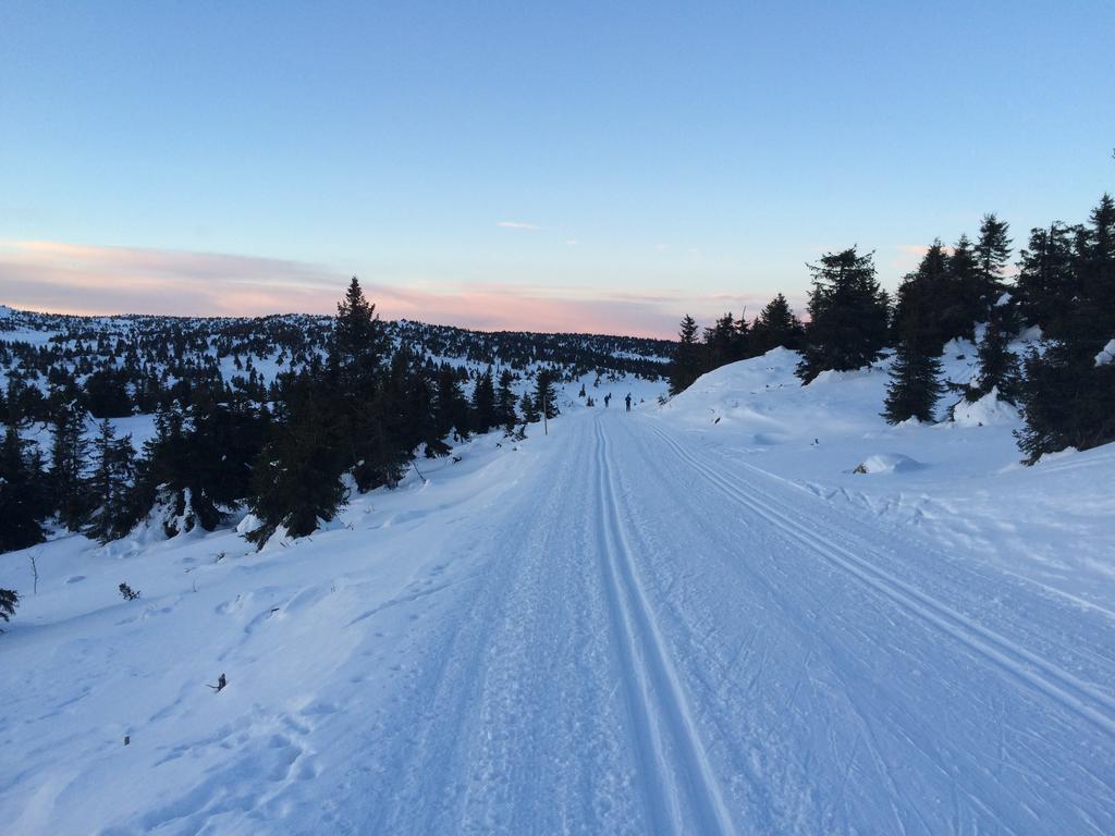 Pellestova Hafjell