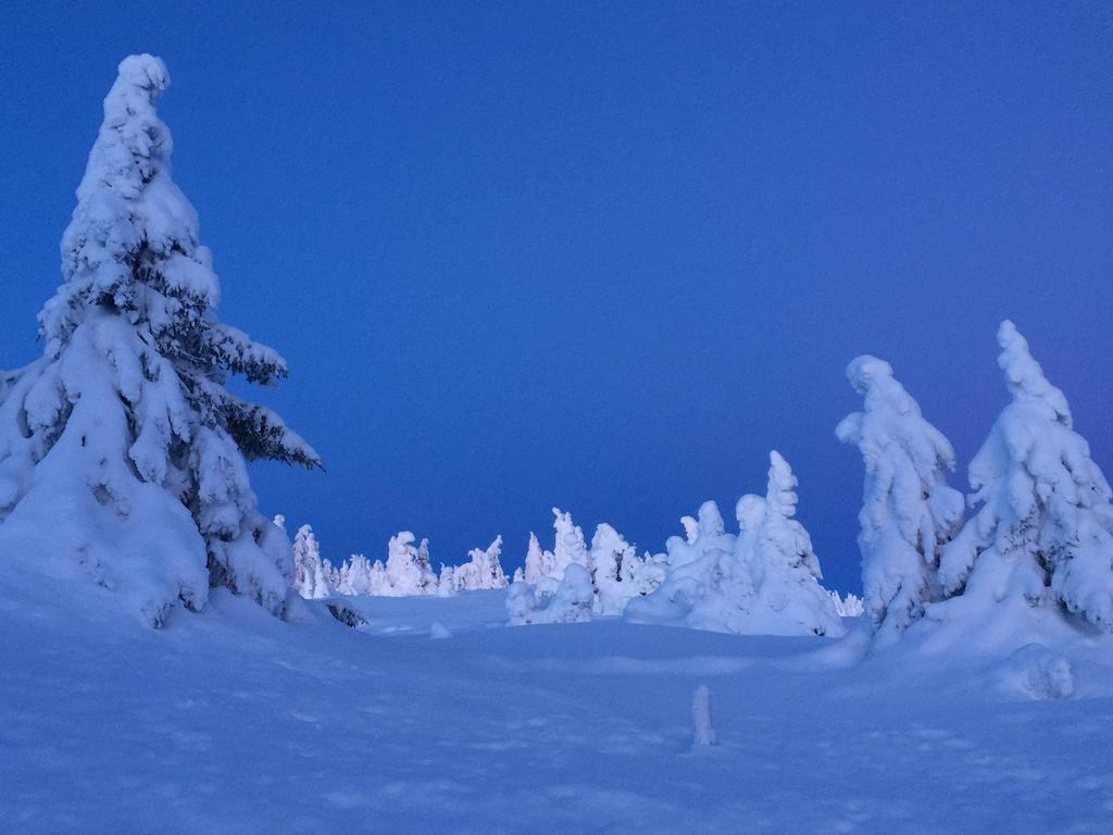Apartment Pellestova Hafjell