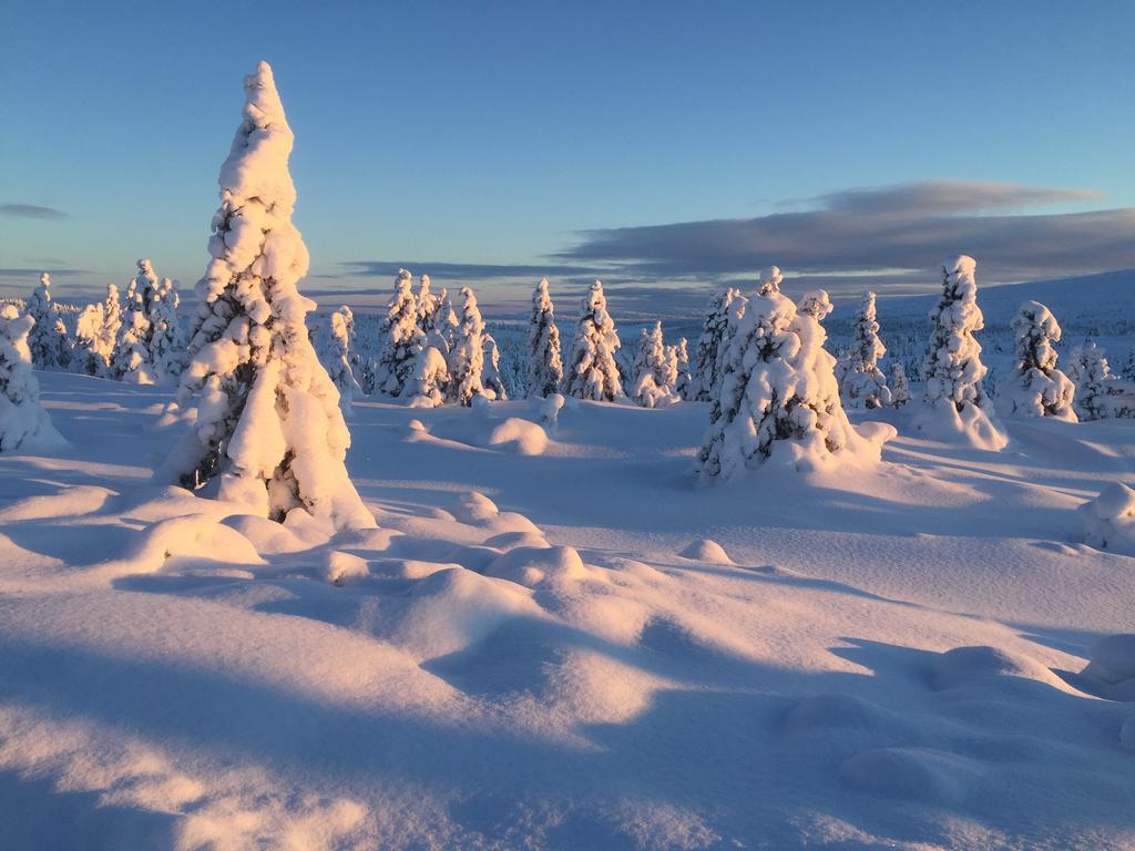 Pellestova Appartement Hafjell