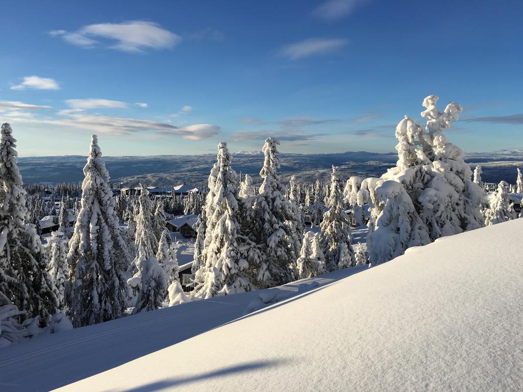 Pellestova * Hafjell