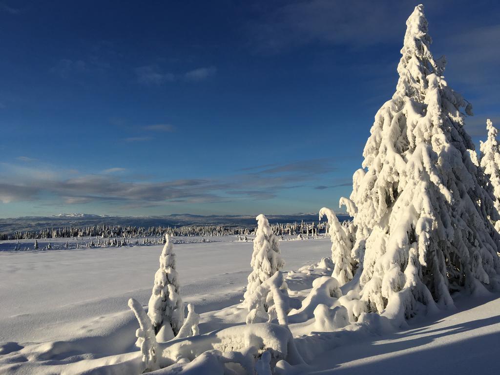 Pellestova Apartment Hafjell