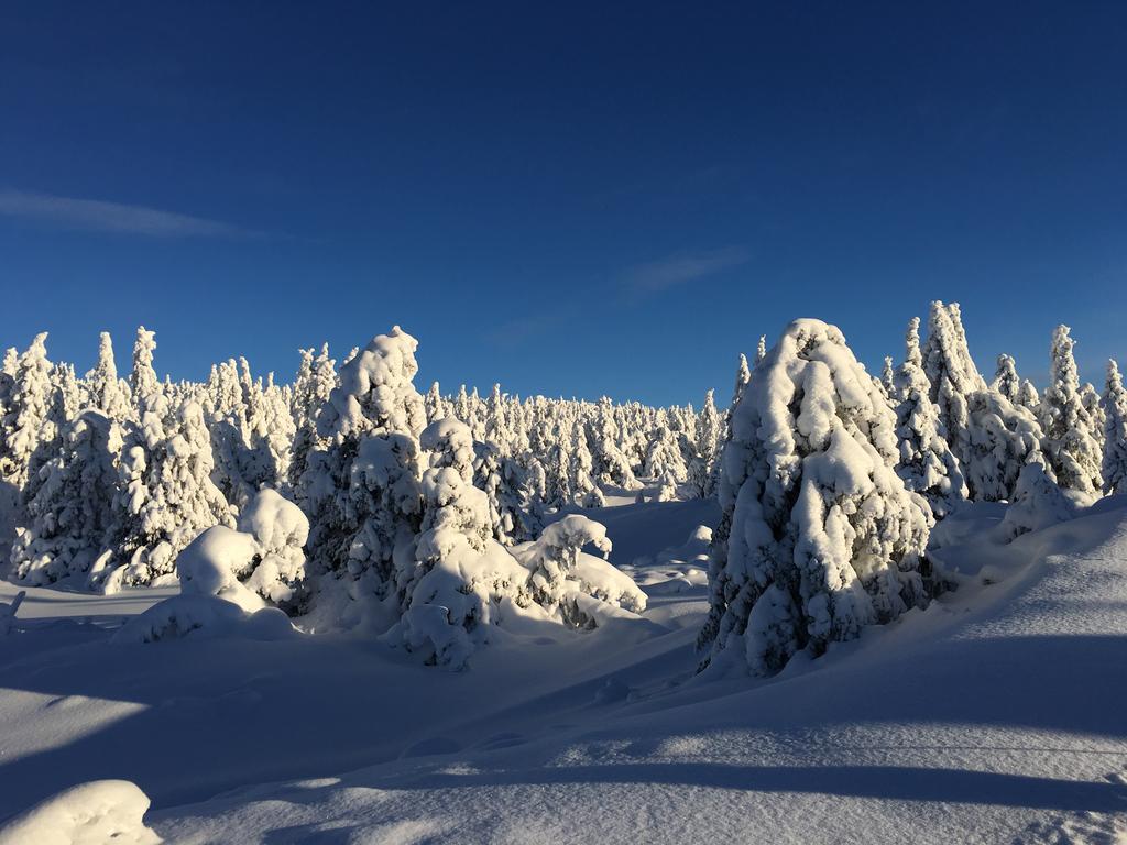 Pellestova Hafjell