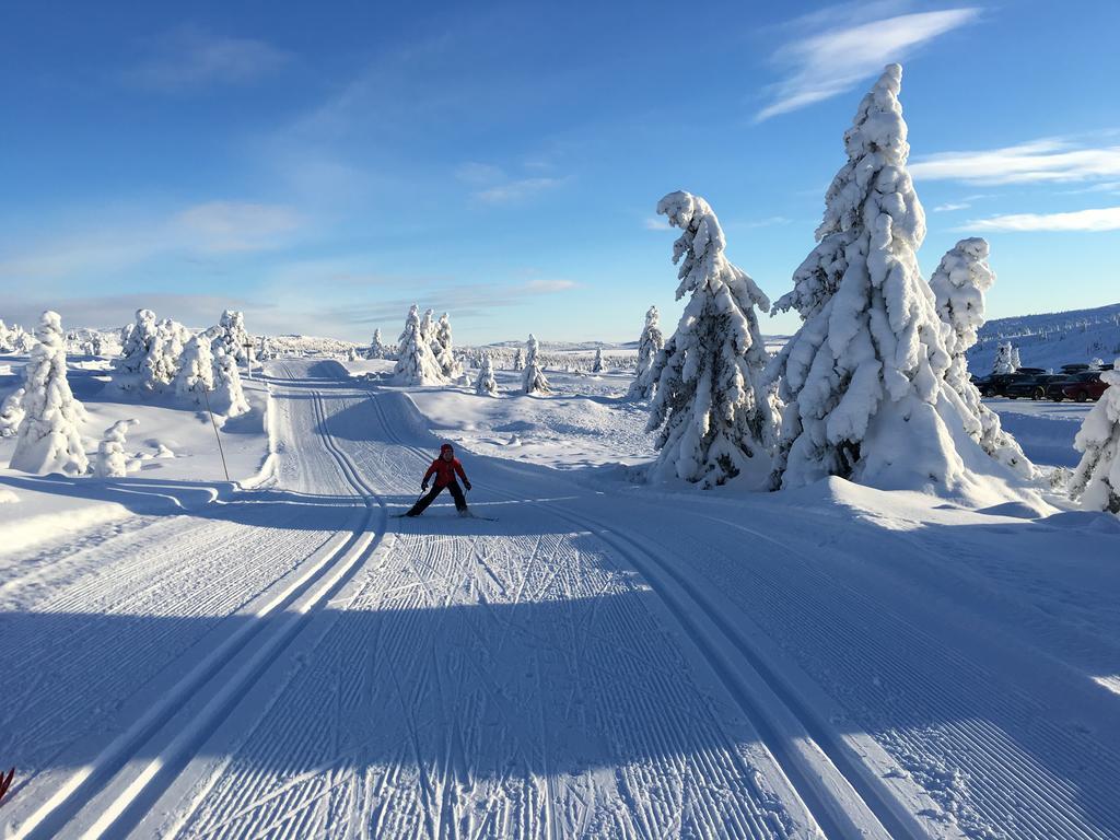Apartment Pellestova Hafjell