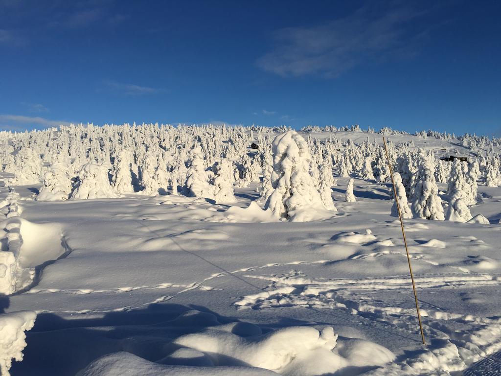 Pellestova * Hafjell