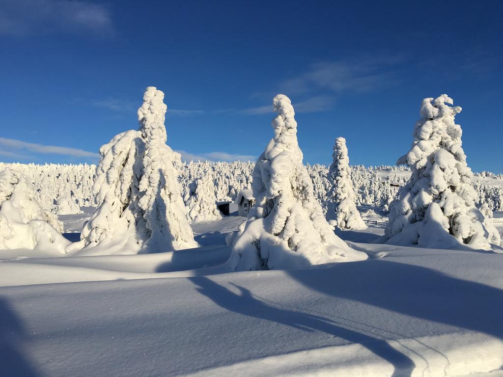 Pellestova Hafjell