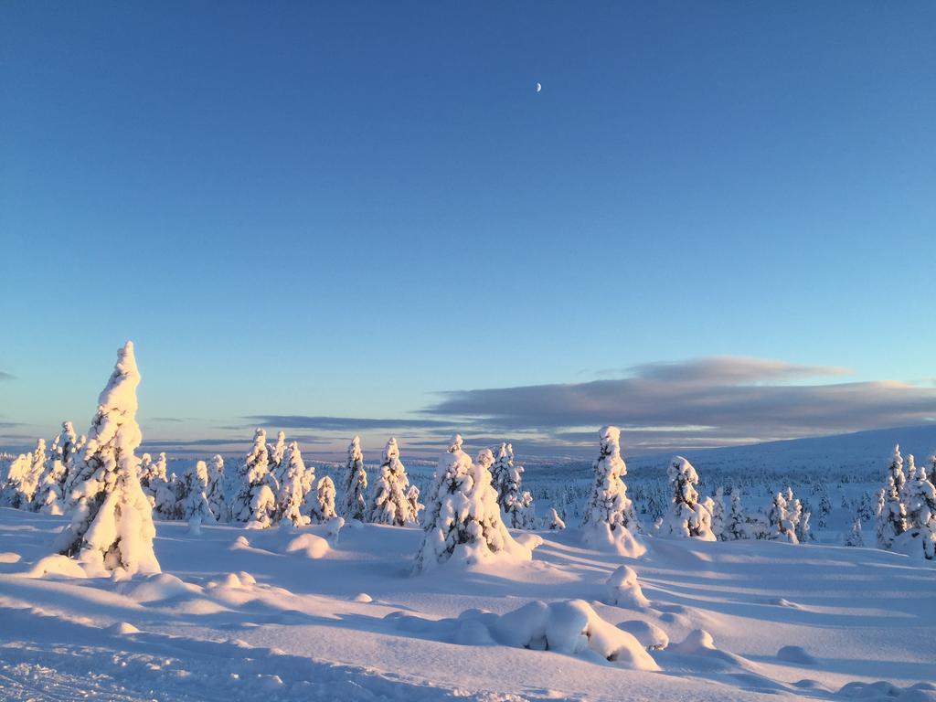Pellestova Hafjell