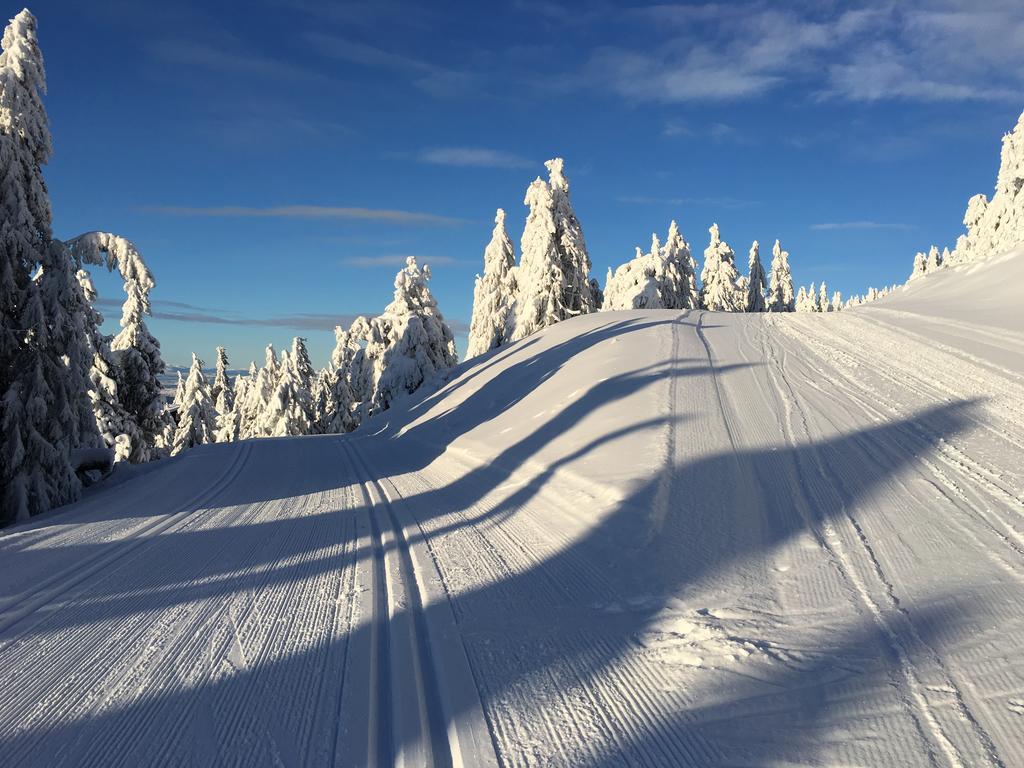 Lägenhet Pellestova Hafjell